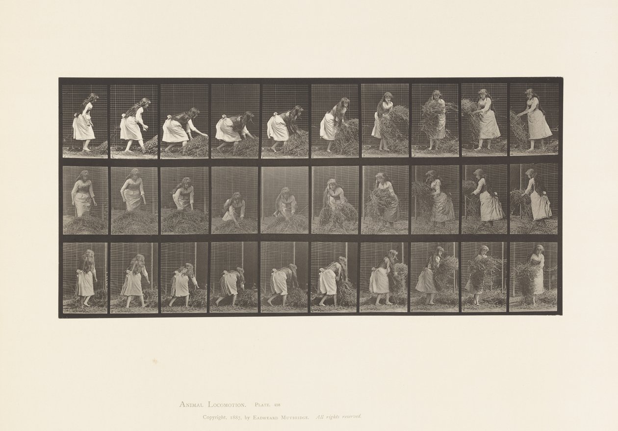 Lifting Handfuls of Hay, Turning, Throwing it Down by Eadweard Muybridge