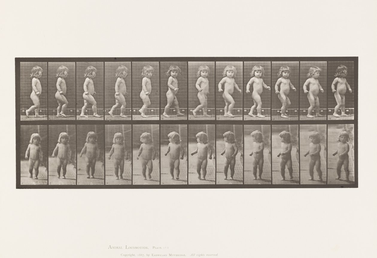 Plate 468. Child, Walking by Eadweard Muybridge