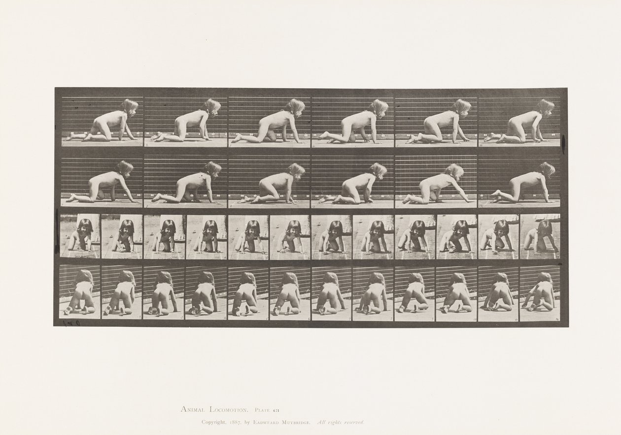 Child, Crawling on Hands and Knees by Eadweard Muybridge