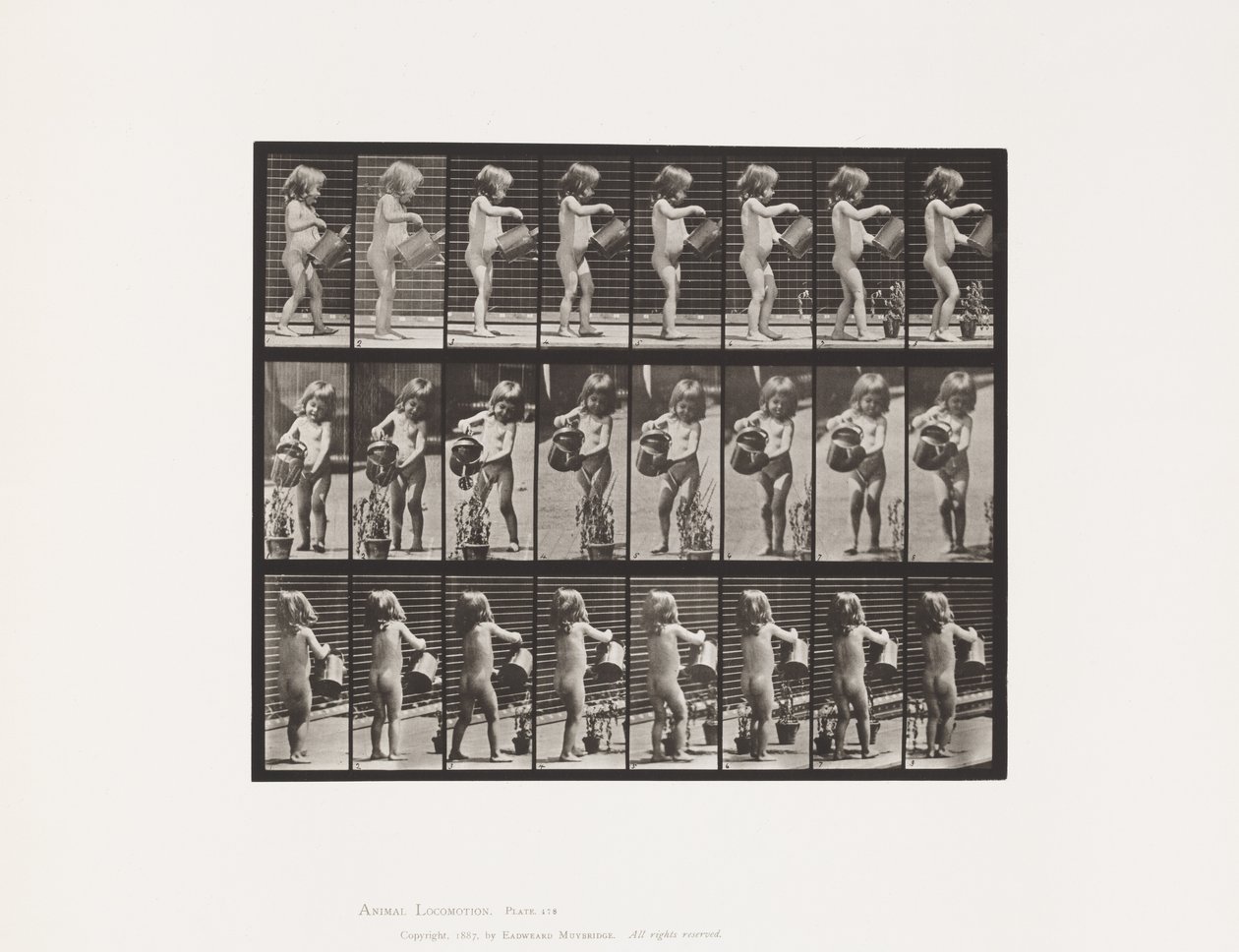 Child, Sprinkling Water Over Some Flowers by Eadweard Muybridge