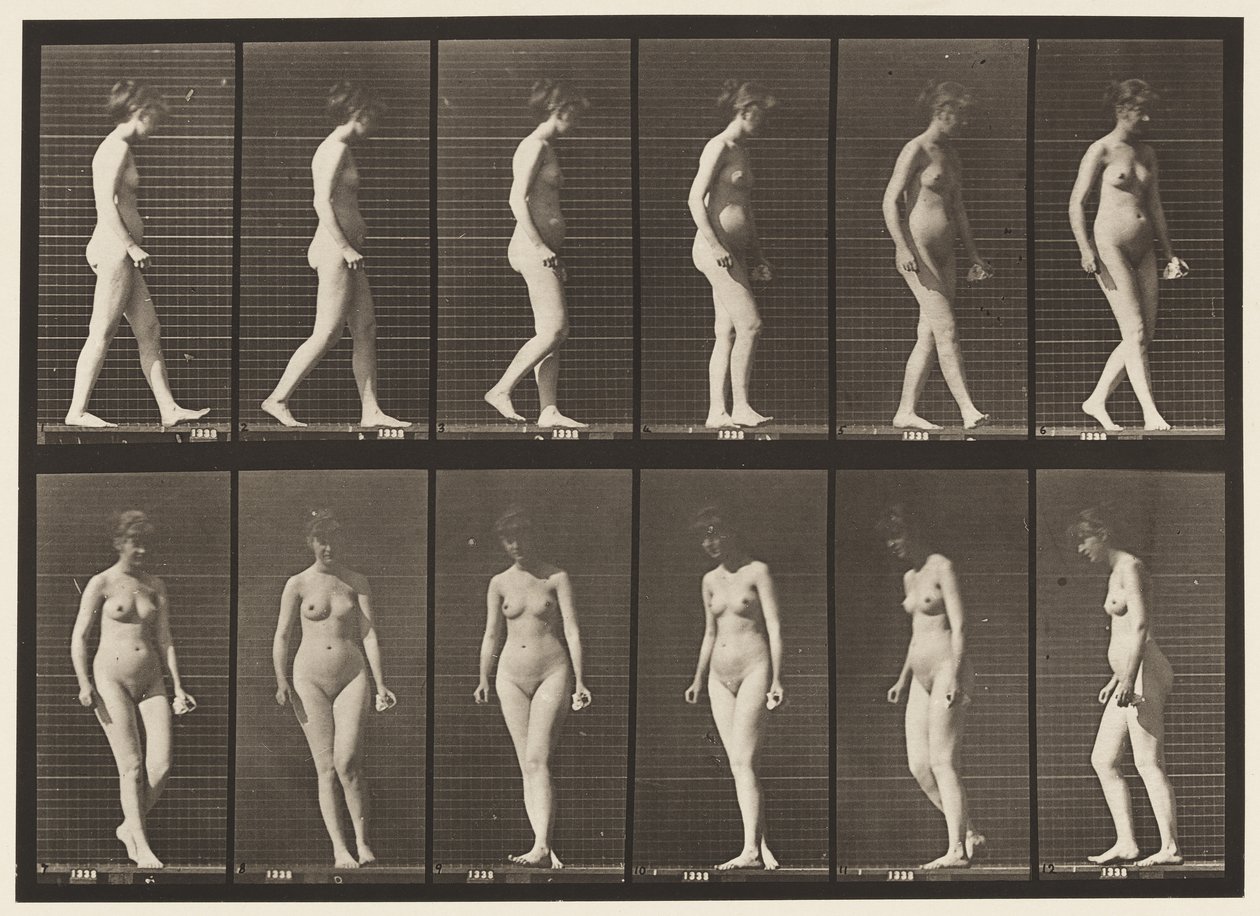 Plate 47. Walking, and Turning Around by Eadweard Muybridge