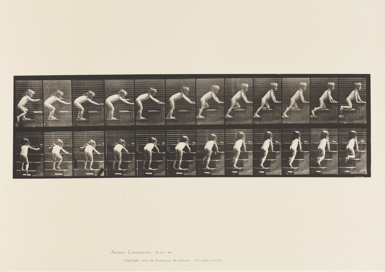 Child, Walking and Crawling Upstairs by Eadweard Muybridge