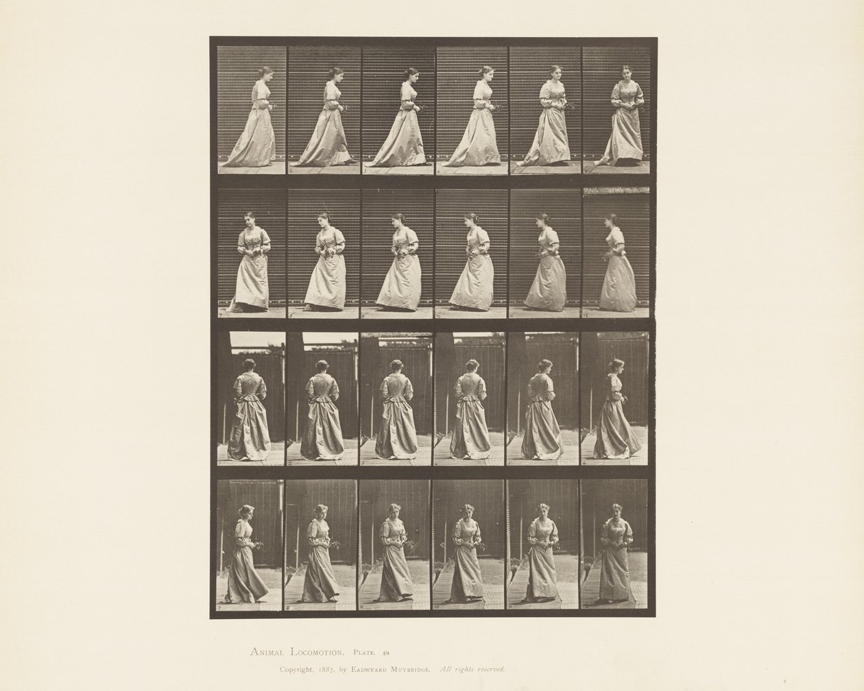 Walking and Turning Around Bouquet in Both Hands by Eadweard Muybridge