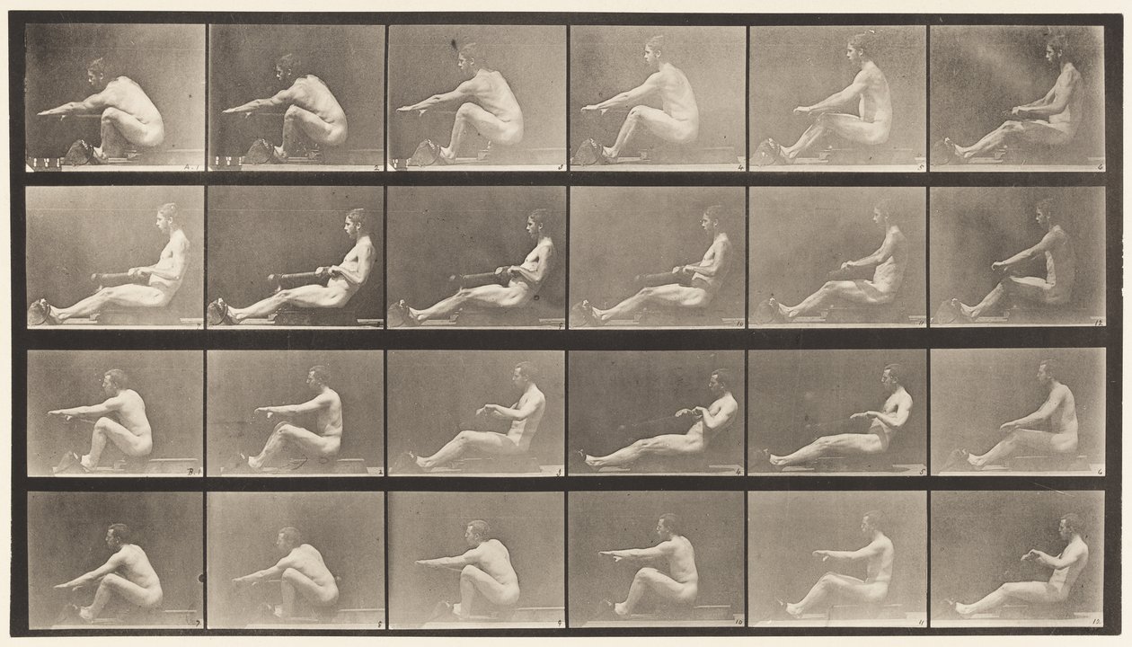 Plate 492. A by Eadweard Muybridge