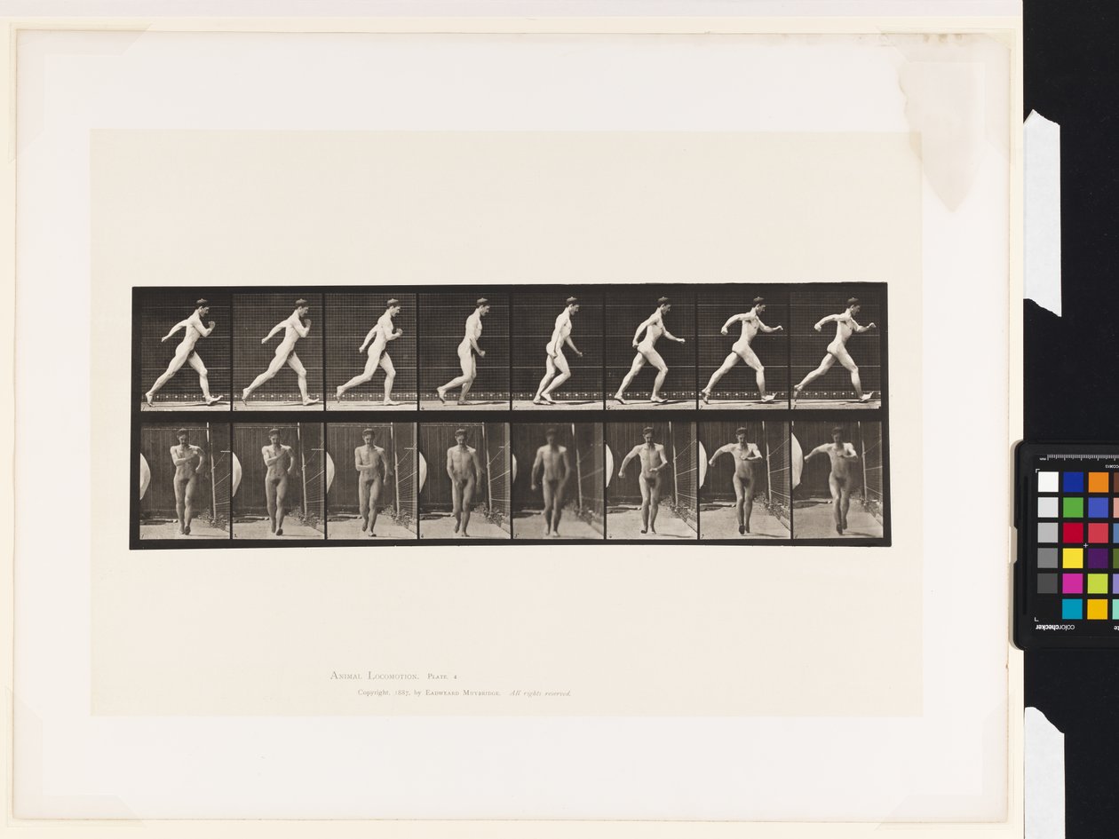 Plate 4. Walking by Eadweard Muybridge