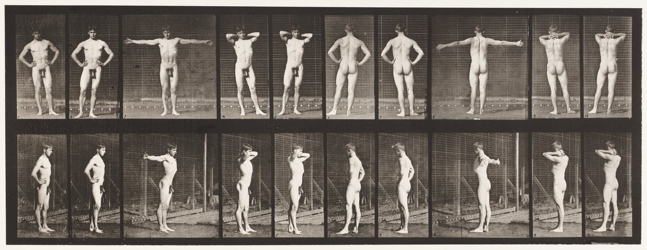 Plate 529. Various Poses by Eadweard Muybridge