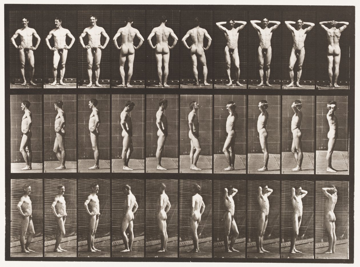 Plate 530. Various Poses by Eadweard Muybridge
