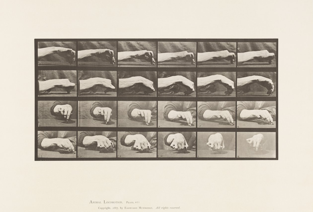 Movement of the Hand; Drawing a Circle by Eadweard Muybridge