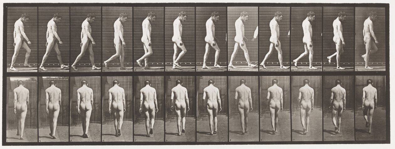 Epilepsy; Walking by Eadweard Muybridge