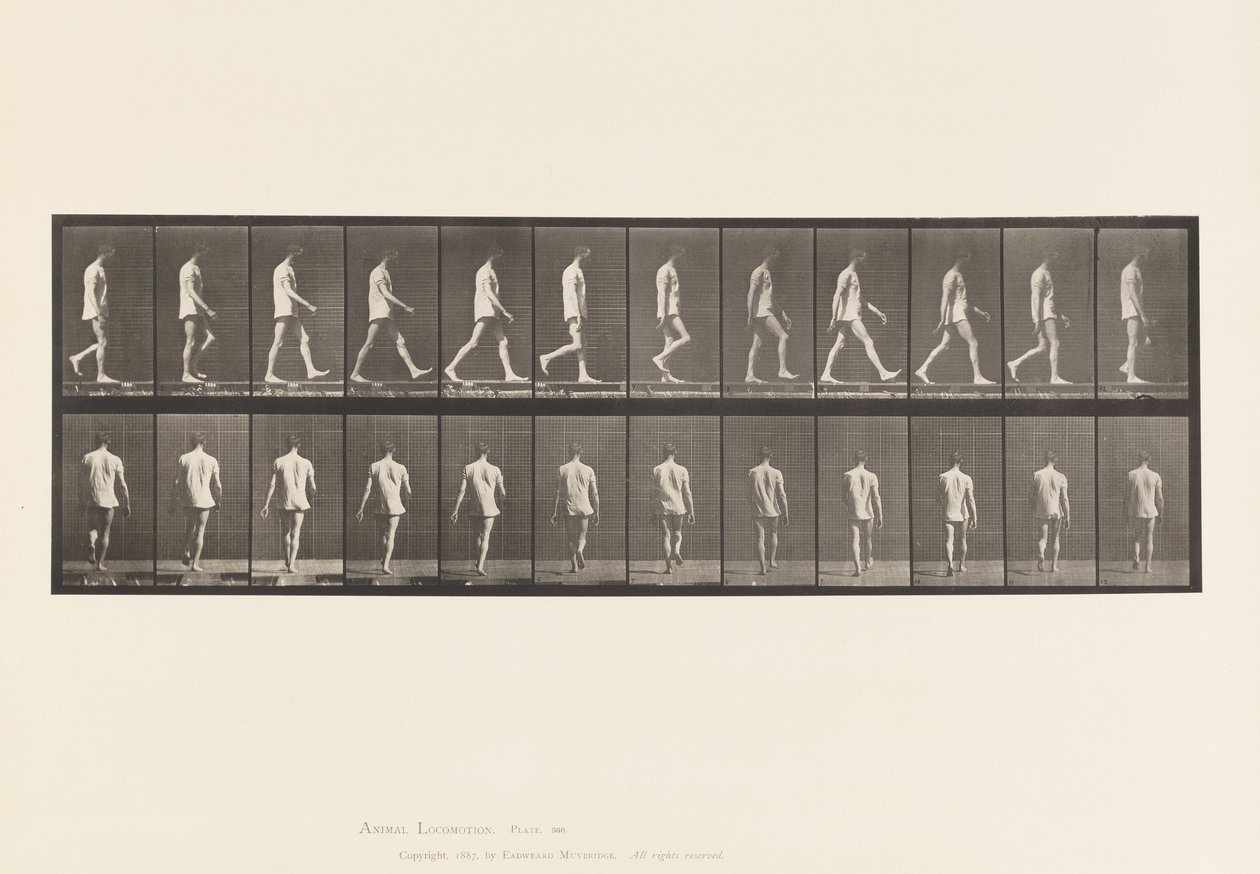 Locomotor Ataxia; Walking by Eadweard Muybridge