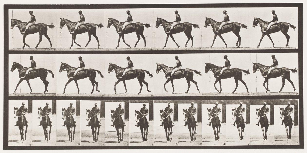 Walking; Saddle; Thoroughbred Bay Mare Annie G. by Eadweard Muybridge