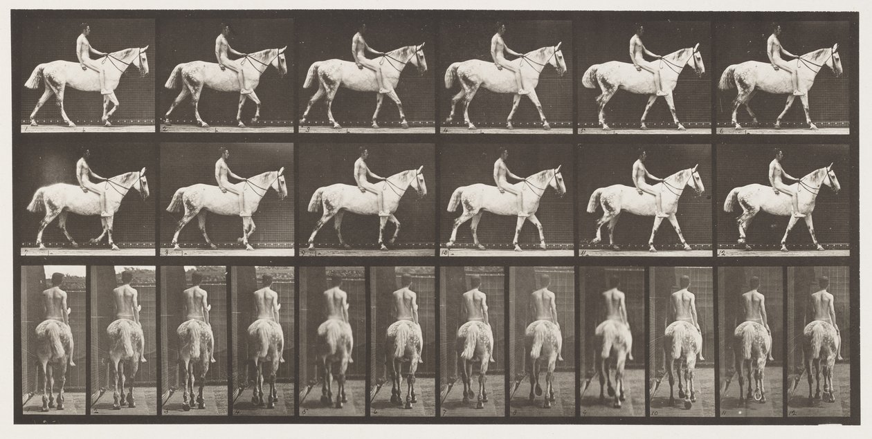 Walking; Bareback; Rider, 43, Nude; Light-Gray Horse Smith, 1885 by Eadweard Muybridge
