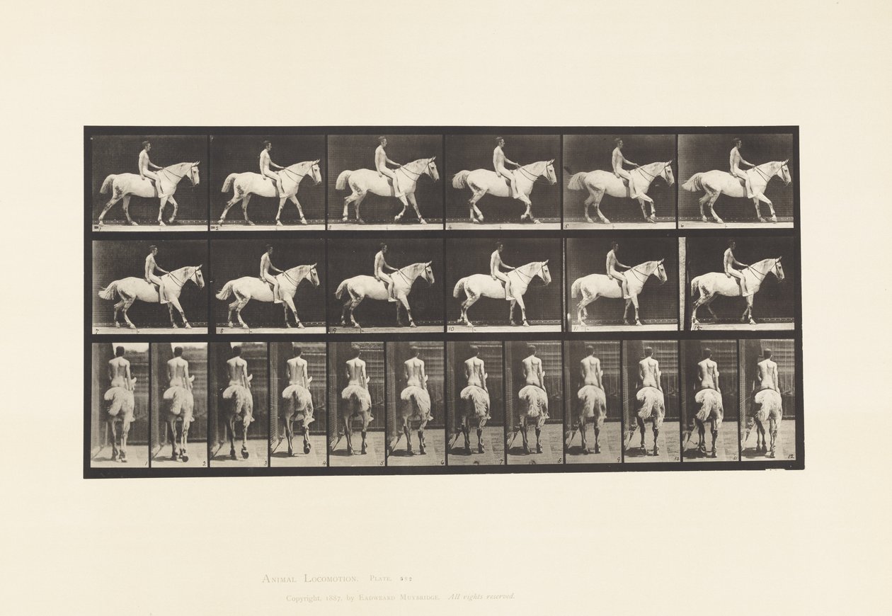 Walking; Saddle; Rider, 43, Nude; Light-Gray Horse Smith (Plate 582) by Eadweard Muybridge
