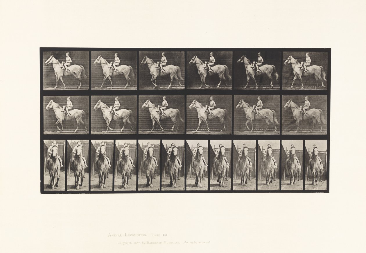 Walking; Saddle; Female Rider; Nude; Gray Horse Tan, 1885 by Eadweard Muybridge