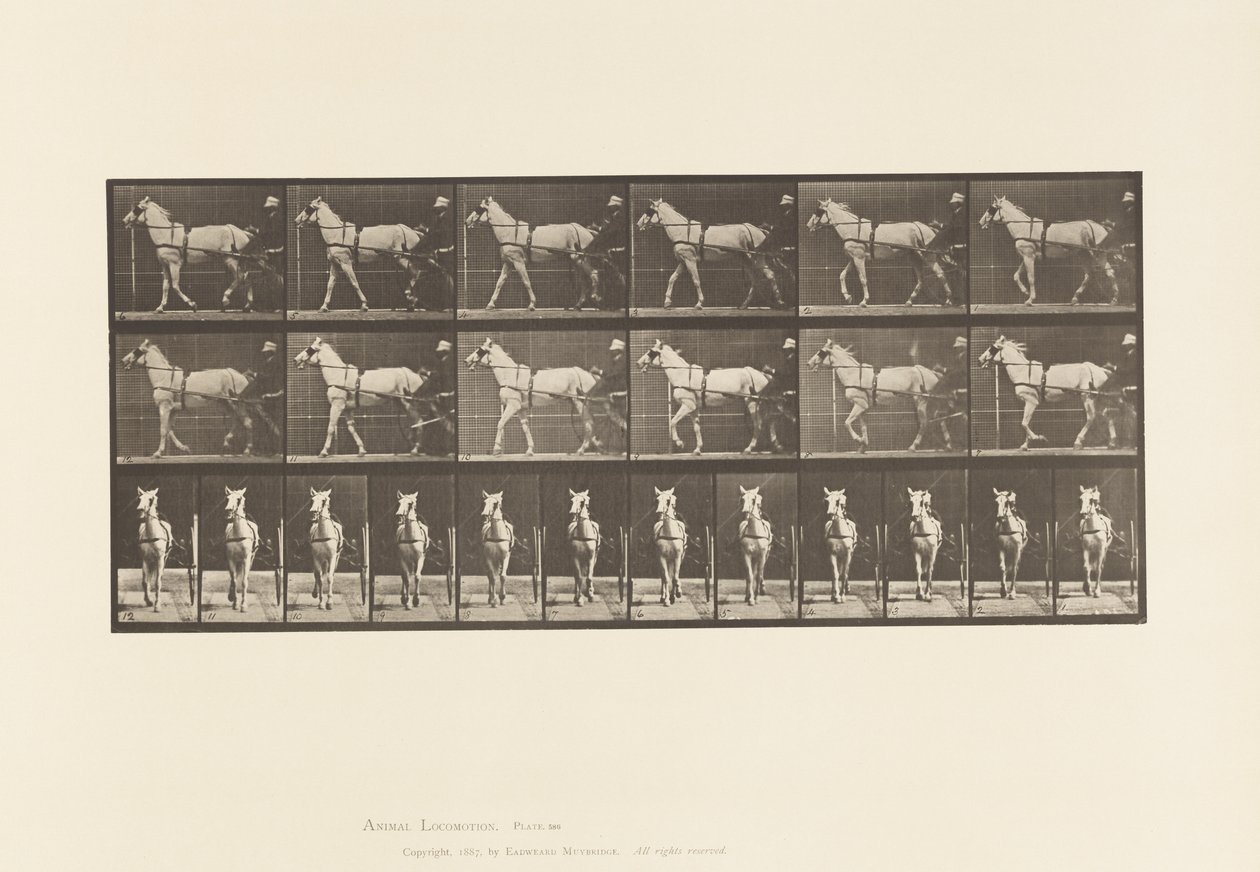 Walking; Sulky; Light Gray Mare, Katydid by Eadweard Muybridge