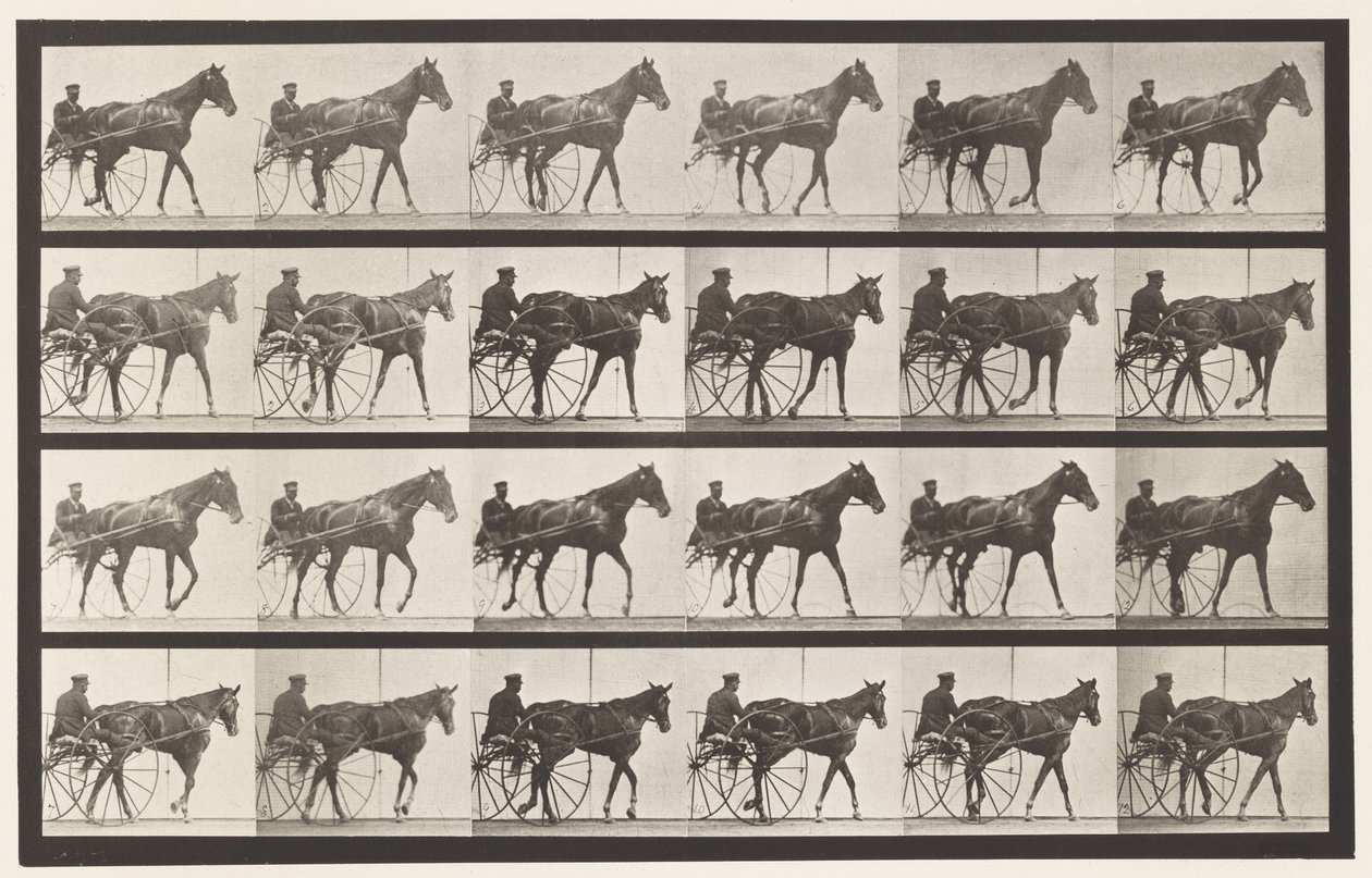 Walking; Sulky; Sorrel Mare Nellie Rose, 1885 by Eadweard Muybridge