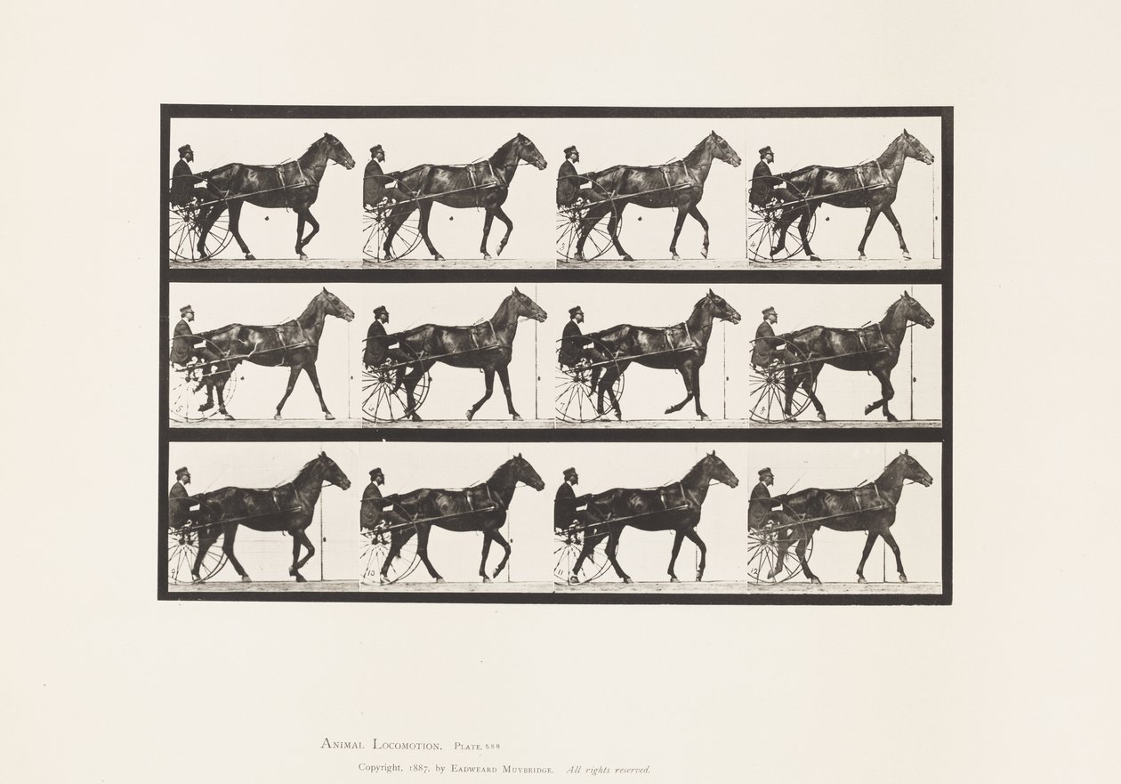 Walking; Sulky; Bay Horse Reuben, 1885 by Eadweard Muybridge