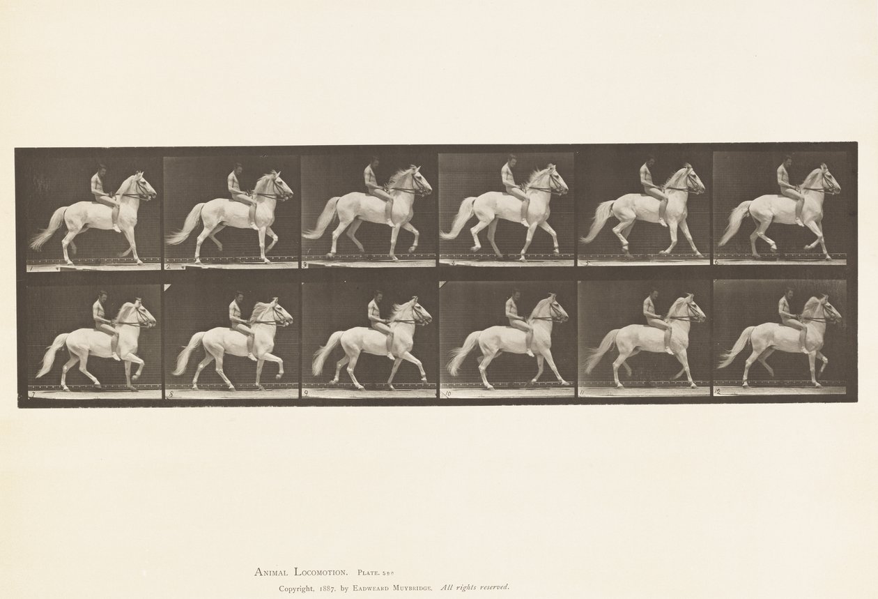 Ambling (Plate 590) by Eadweard Muybridge