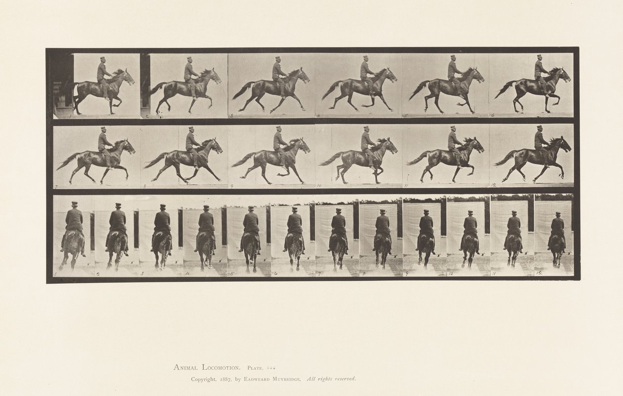 Rocking (Pacing): Saddle; Brown Horse Pronto (Plate 592) by Eadweard Muybridge