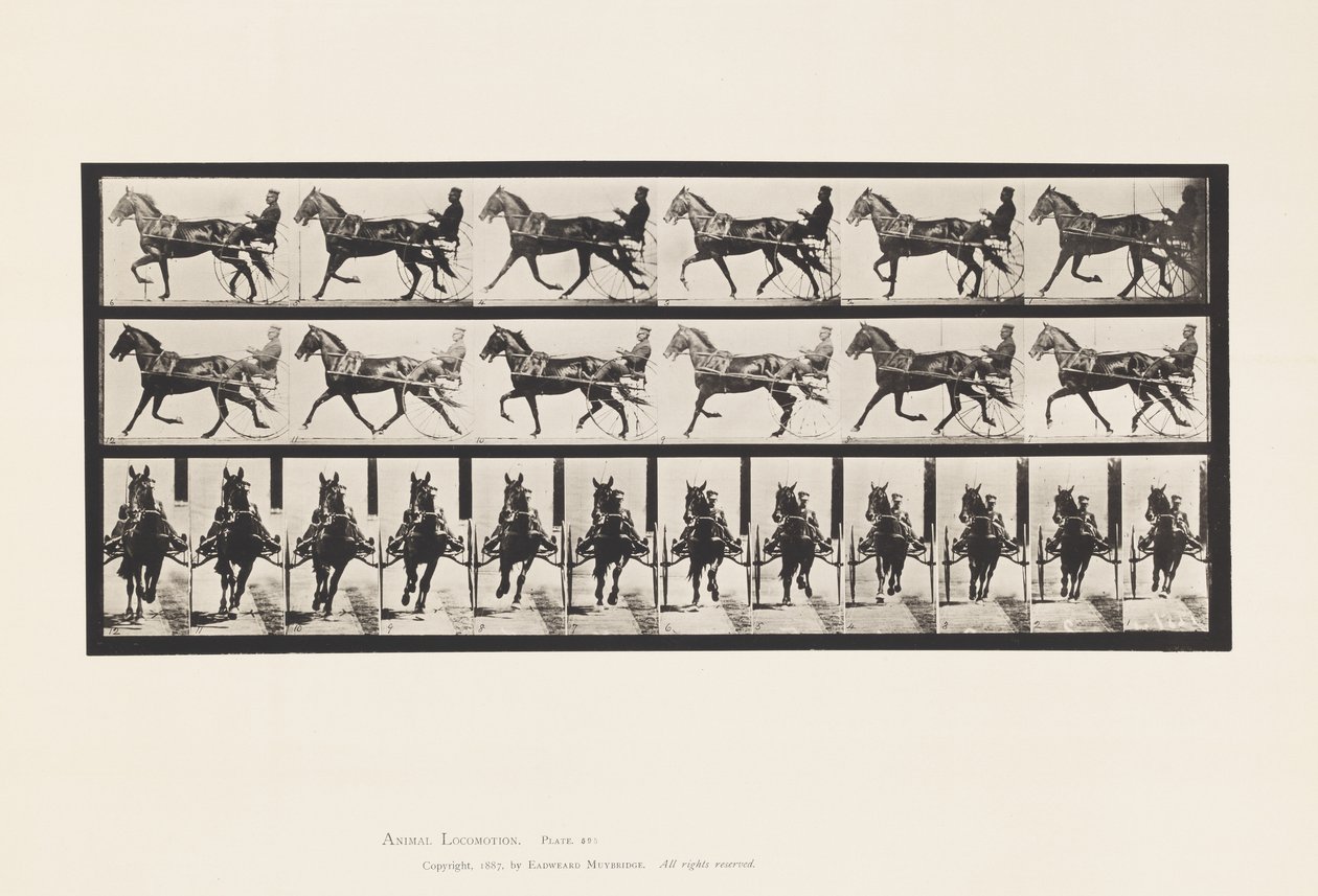 Plate 595. Rocking (Pacing): Sulky; Brown Horse Pronto by Eadweard Muybridge