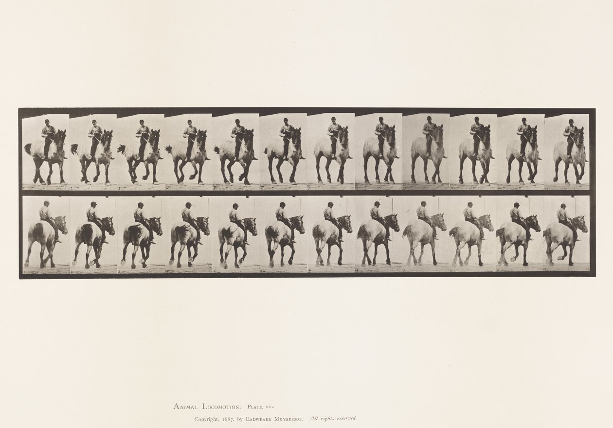 Plate 600. Trotting; Bareback; Dark-Gray Dusel by Eadweard Muybridge