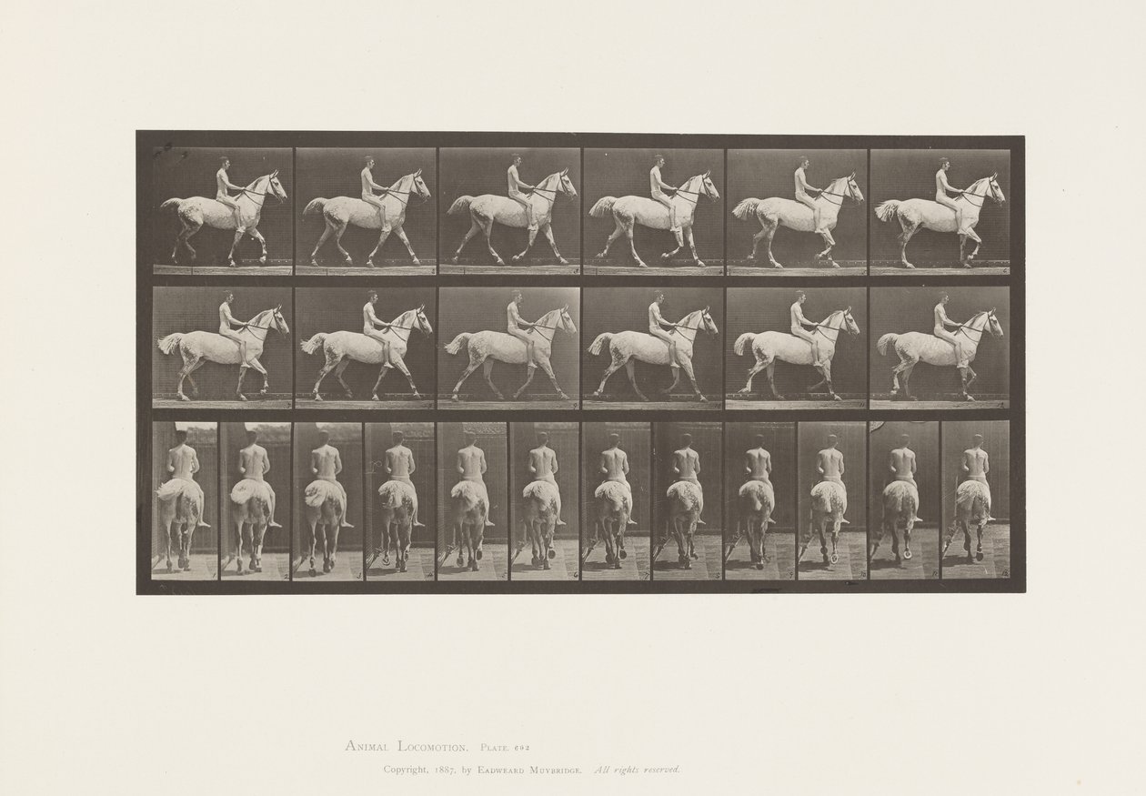 Trotting; Bareback; Rider, Nude; Light-Gray Horse (Plate 602) by Eadweard Muybridge