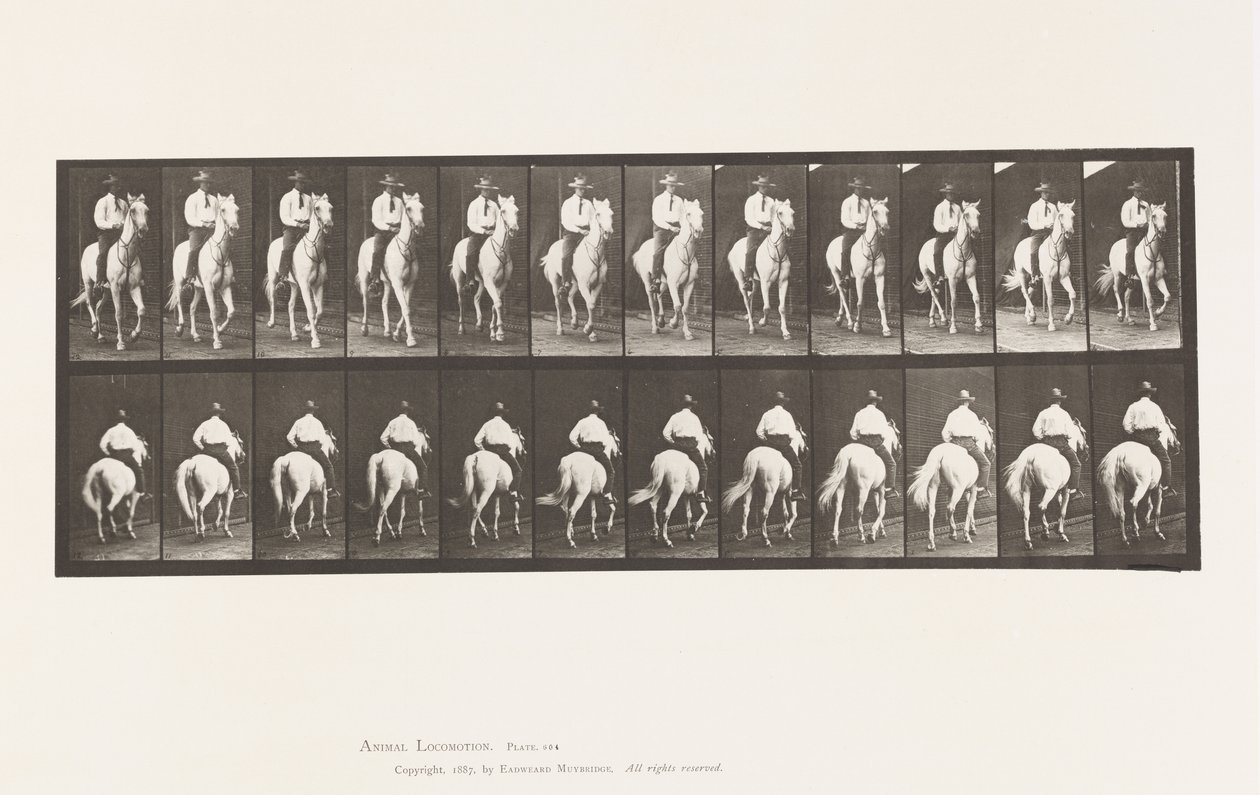 Trotting; Saddle; White Horse, Elberon (Plate 604) by Eadweard Muybridge