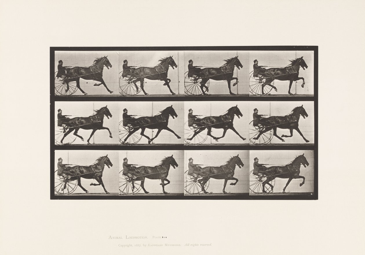 Trotting; Sulky; Bay Horse, Reuben (Plate 606) by Eadweard Muybridge