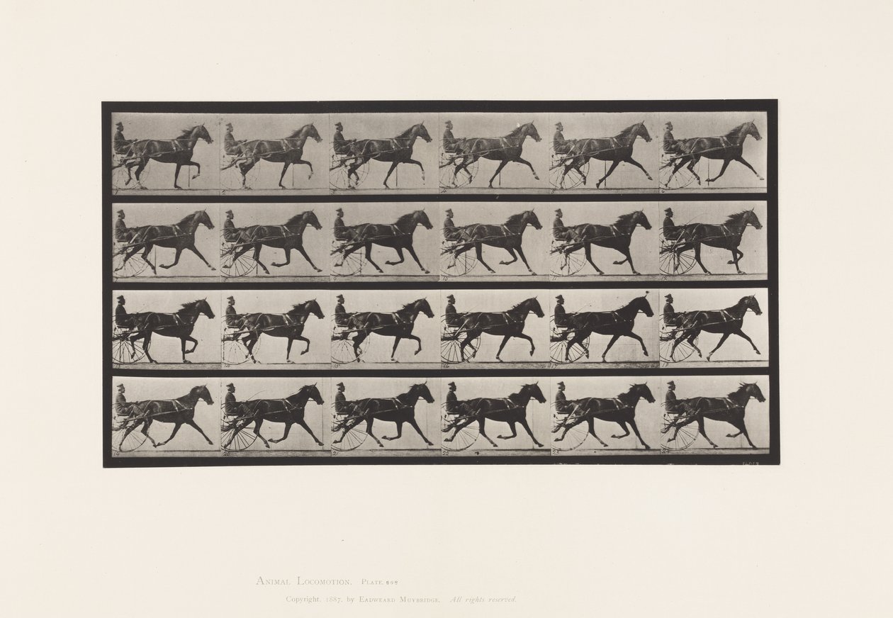 Trotting; Sulky; Sorrel Mare, Flode Holden (Plate 608) by Eadweard Muybridge