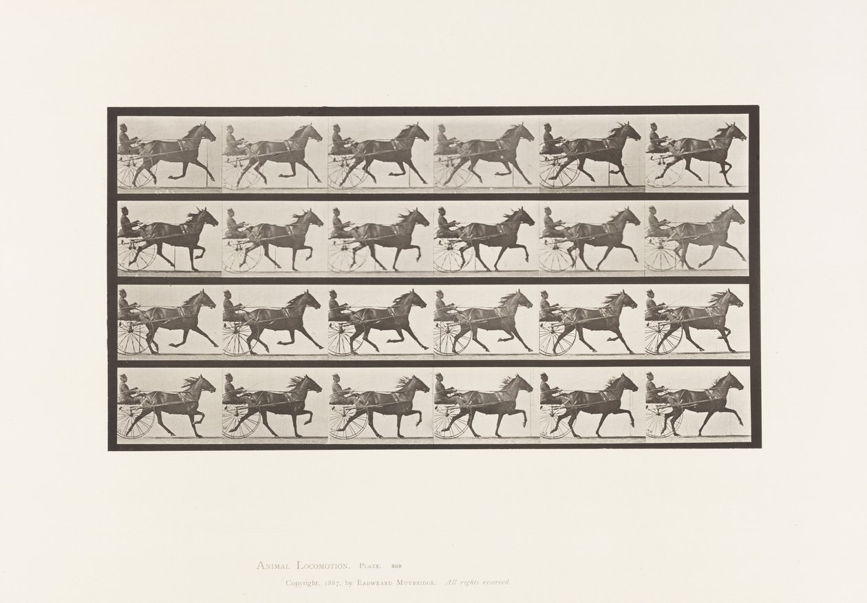 Trotting; Sulky; Bay Mare, Lizzie M. (Plate 609) by Eadweard Muybridge