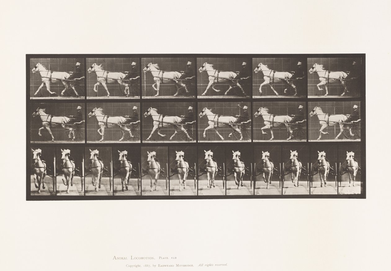 Plate 610. Trotting; Sulky; Gray Mare, Katydid by Eadweard Muybridge