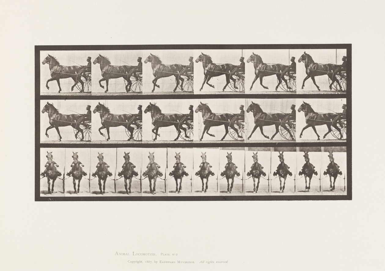 Trotting; Sulky; Bay Horse, Dereumd (Plate 612) by Eadweard Muybridge