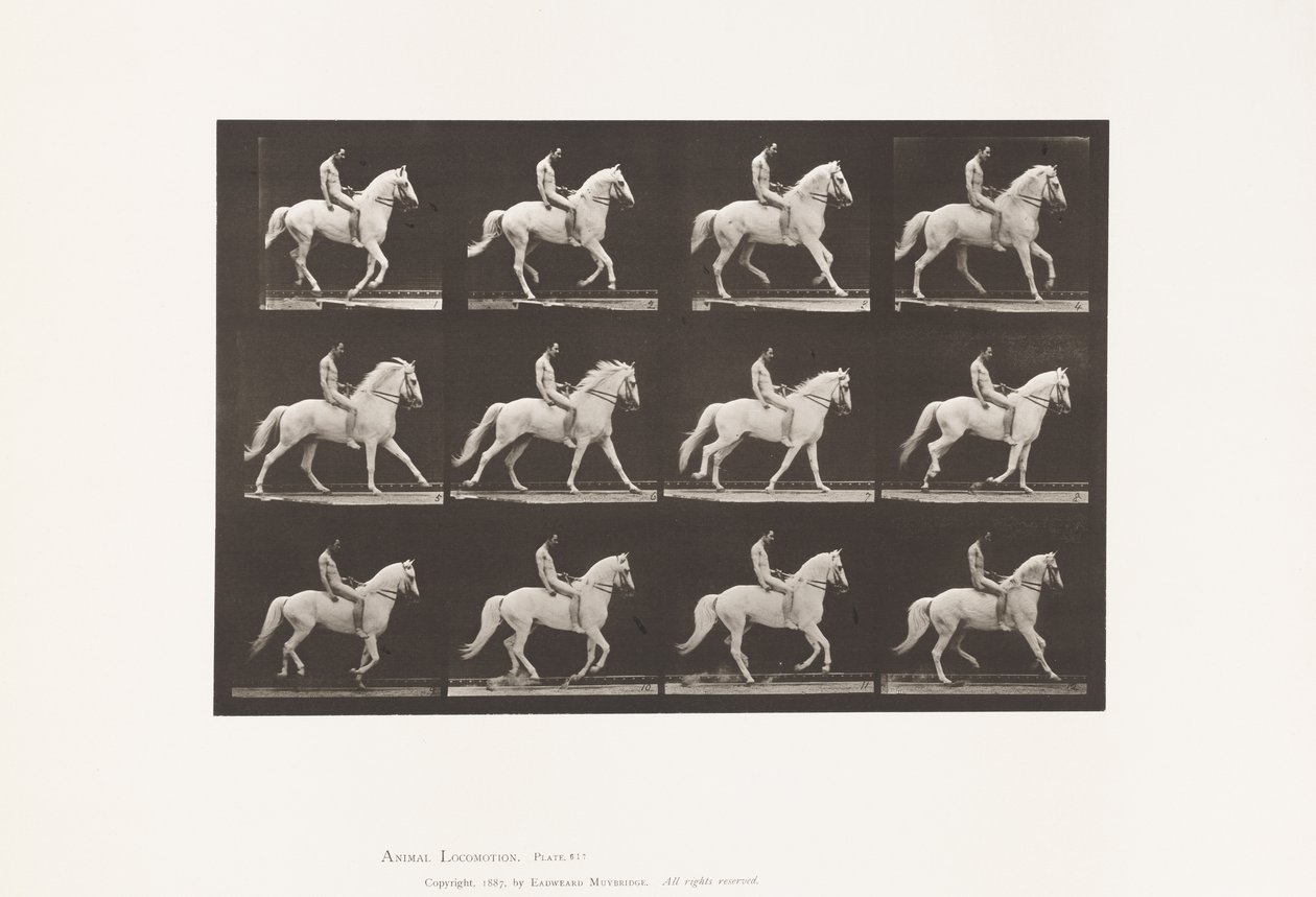 Plate 617. Canter; Bareback; Rider, 106, Nude; White Horse Clinton, 1885 by Eadweard Muybridge