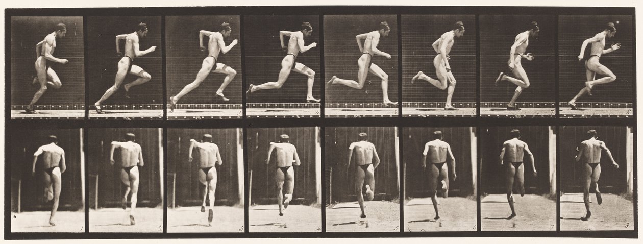 Plate 61. Running at Full Speed by Eadweard Muybridge