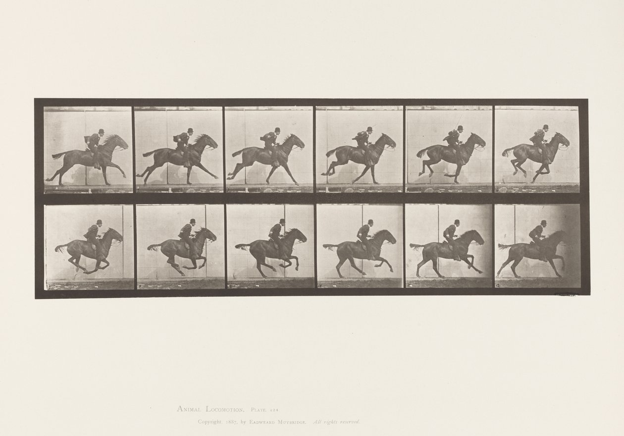 Gallop; Saddle; Bay Horse Daisy (Plate 624) by Eadweard Muybridge