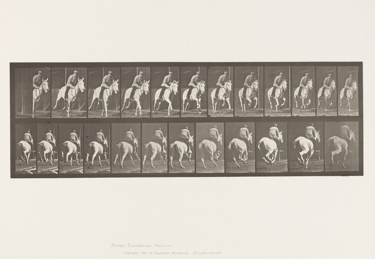 Gallop; Saddle; Gray Mare, Pandora (Plate 635) by Eadweard Muybridge