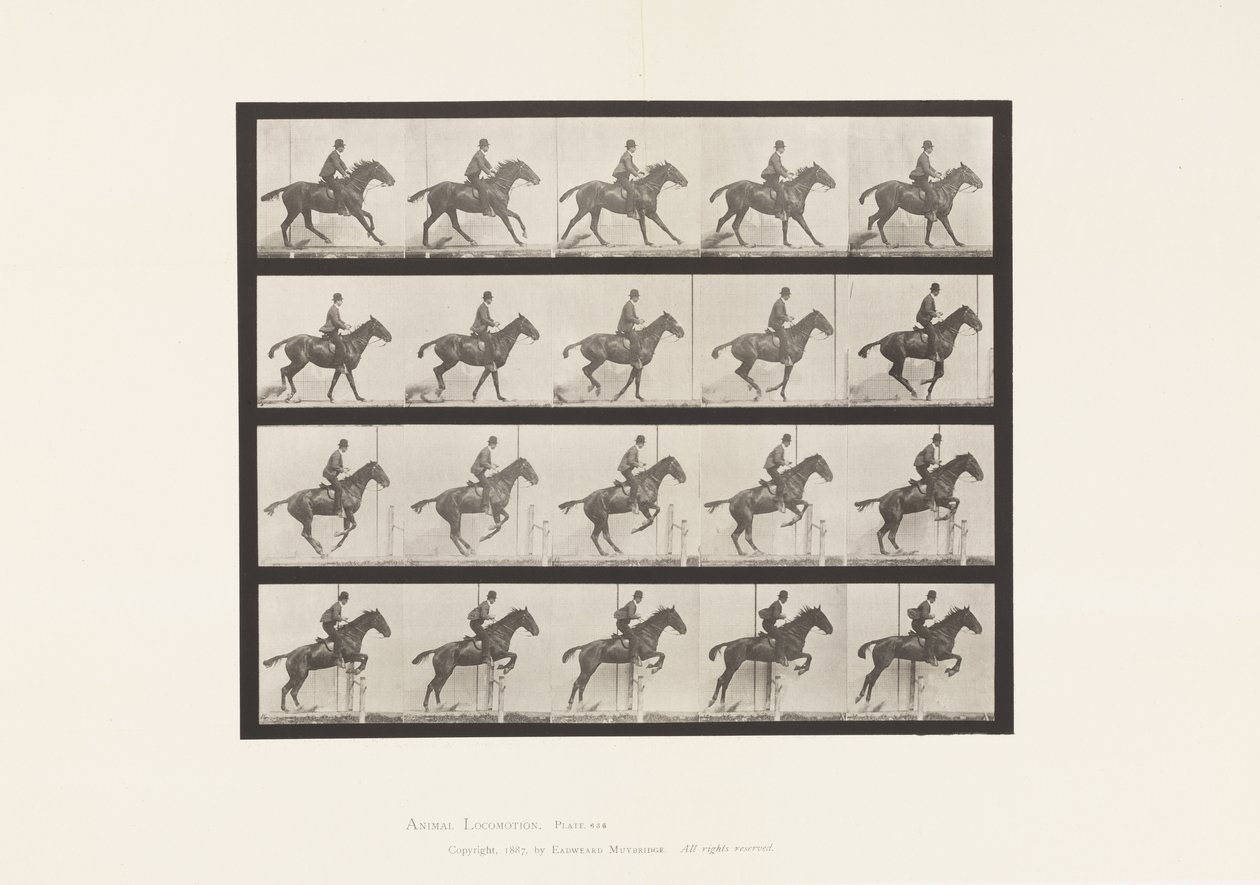 Jumping a Hurdle; Saddle; Preparing for the Leap (Plate 636) by Eadweard Muybridge