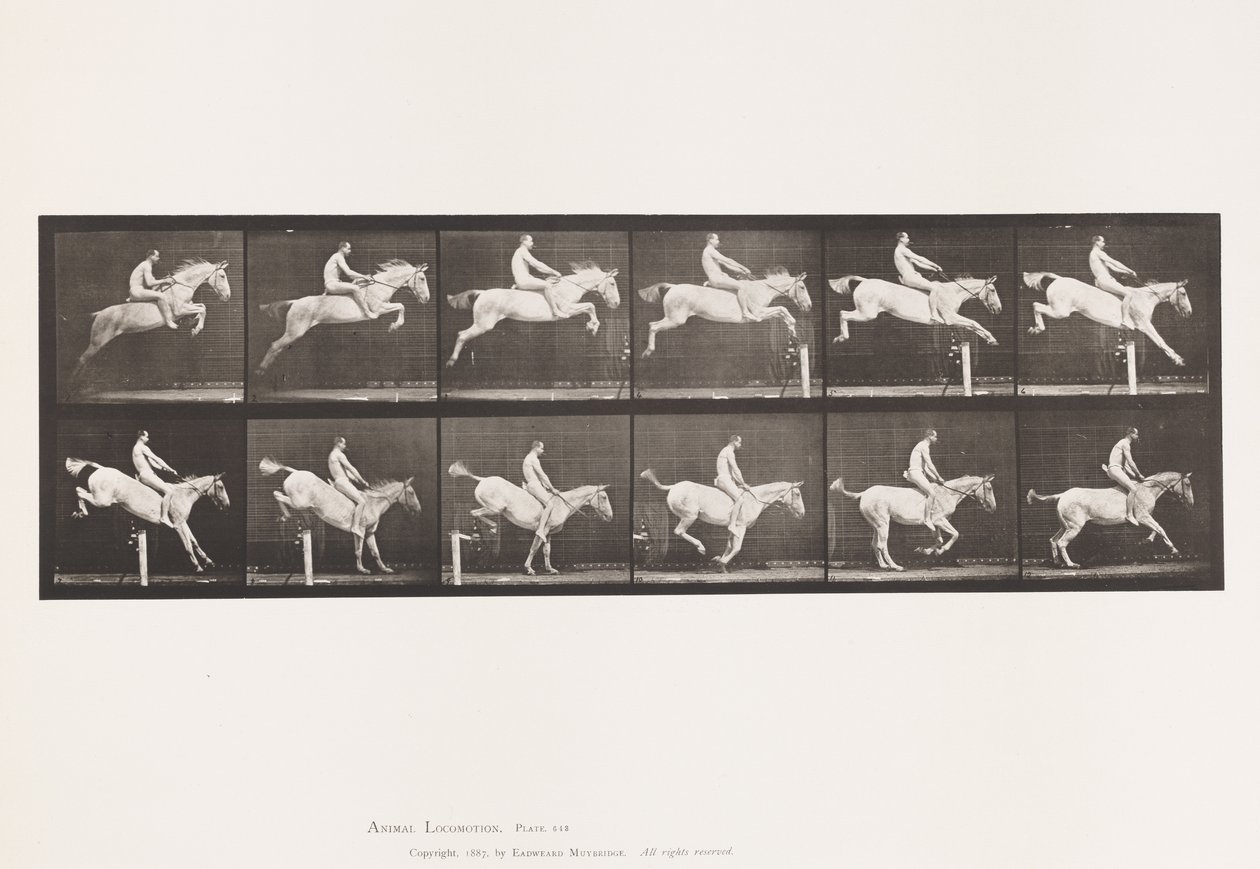 Plate 643. Jumping a Hurdle; Bareback; Clearing and Landing by Eadweard Muybridge