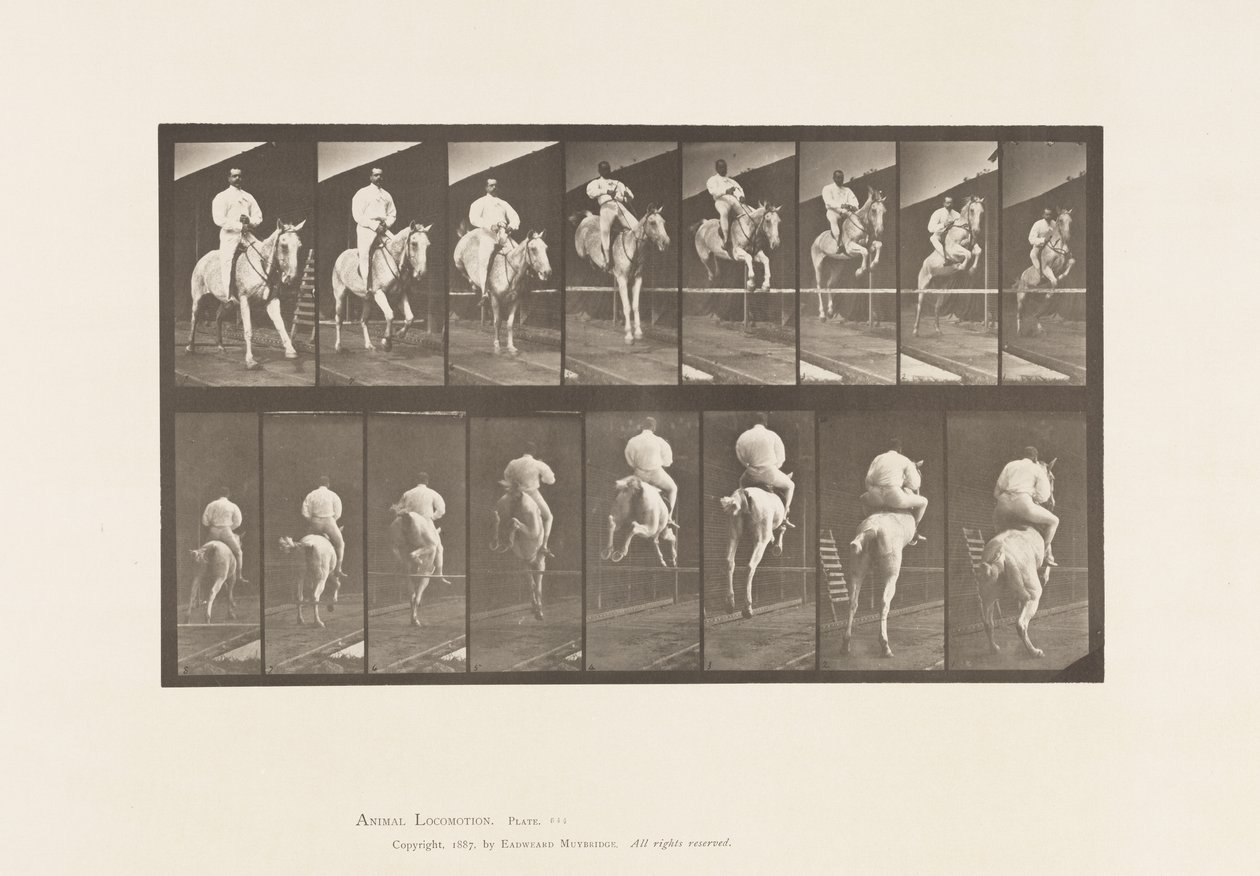Jumping a Hurdle; Saddle; Clearing and Landing by Eadweard Muybridge