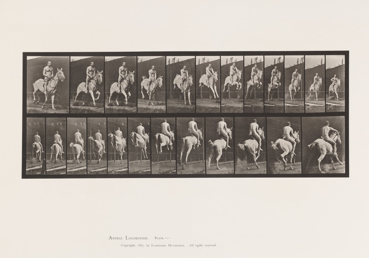 Jumping a Hurdle; Saddle; Rider, Nude by Eadweard Muybridge