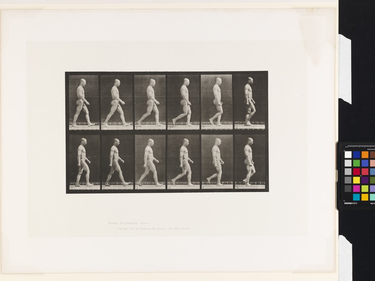 Plate 6. Walking by Eadweard Muybridge