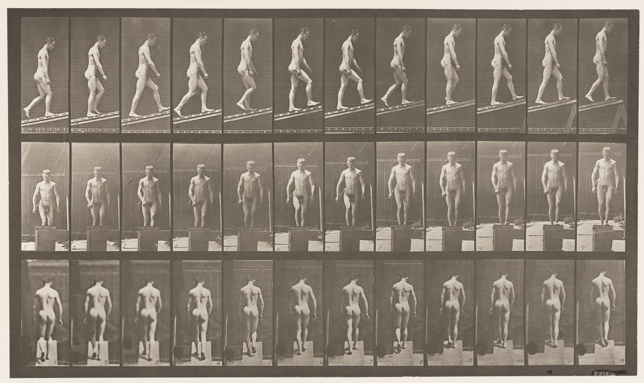 Plate 74. Ascending Incline, Angle 1 in 4 by Eadweard Muybridge