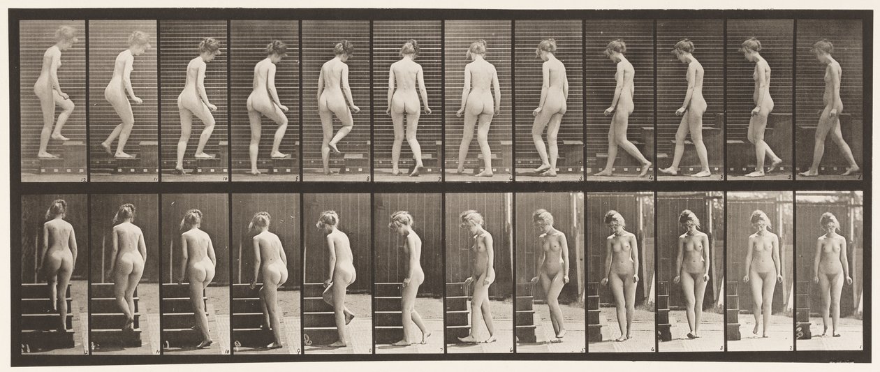 Turning and Ascending Stairs by Eadweard Muybridge