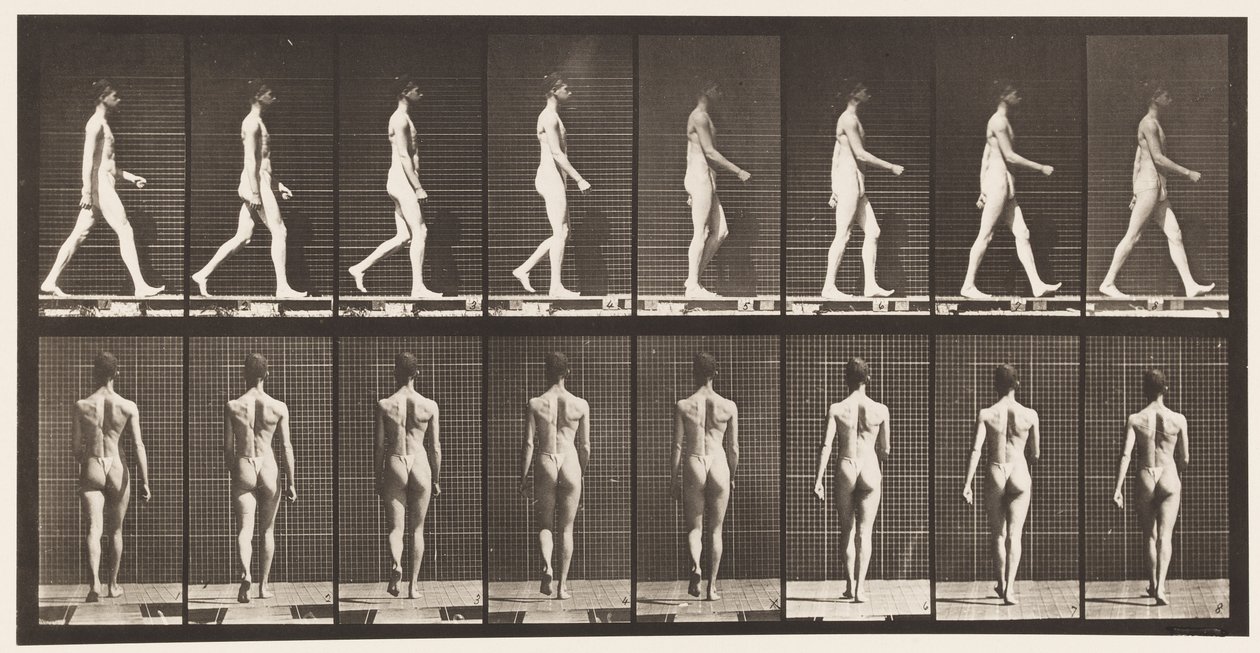 Walking by Eadweard Muybridge
