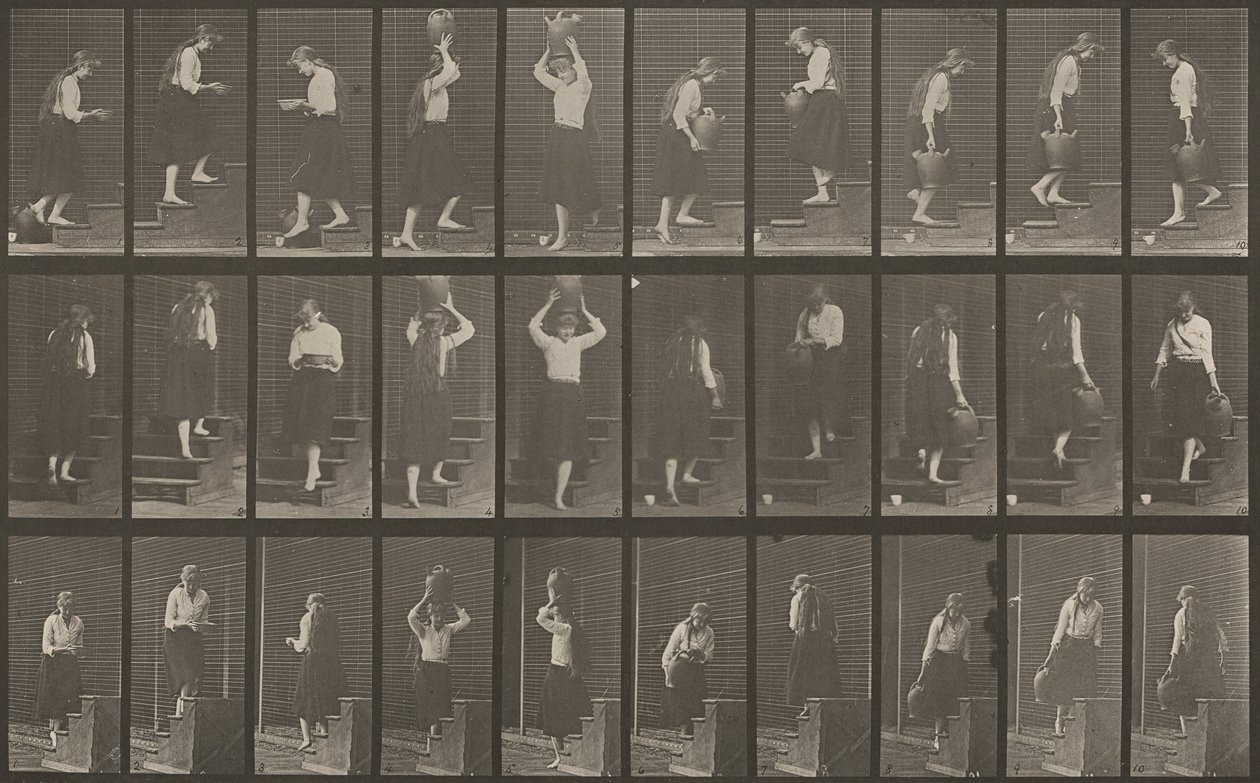 Plate Number 504. Ascending and Descending Stairs by Eadweard Muybridge