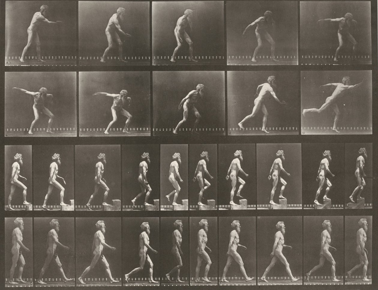 Plate Number 519. A: Throwing a disk. B: Ascending a step. C: Walking by Eadweard Muybridge