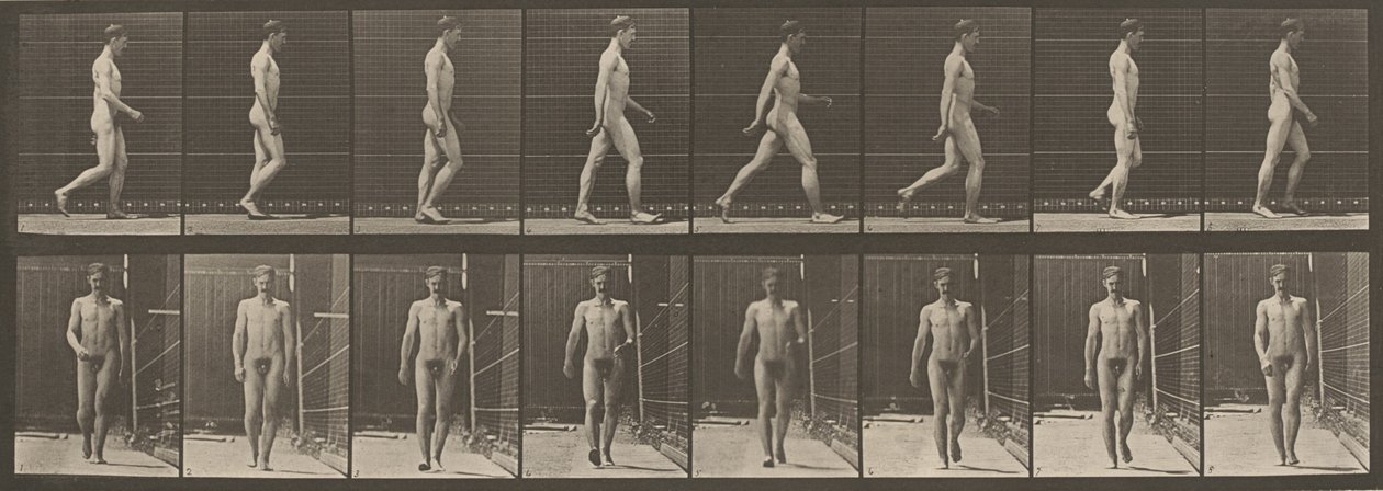 Walking, 1887 by Eadweard Muybridge