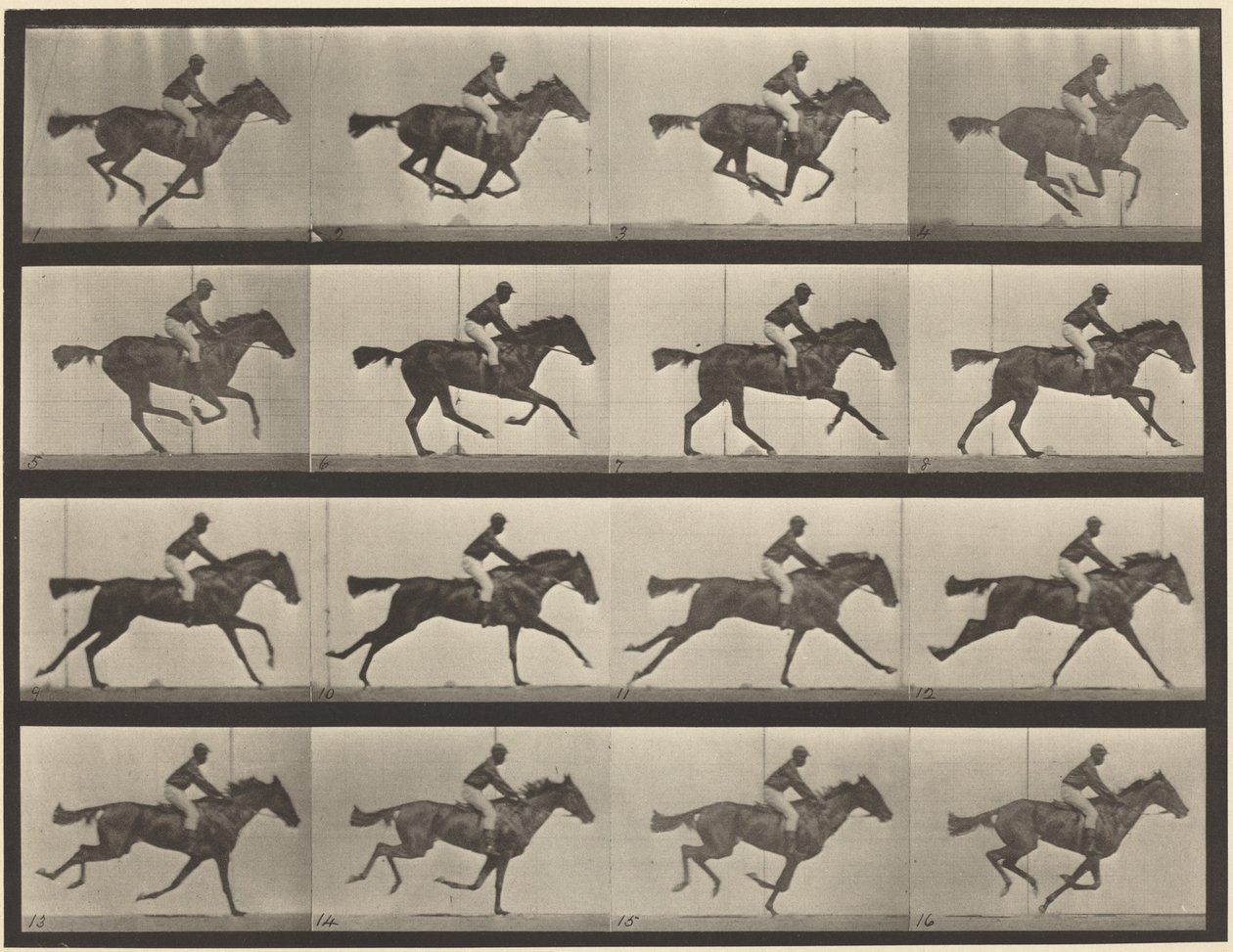 Plate Number 626. Gallop, Thoroughbred Bay Mare, Annie G. by Eadweard Muybridge