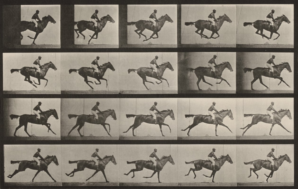 Plate Number 627. "Annie G." Galloping by Eadweard Muybridge