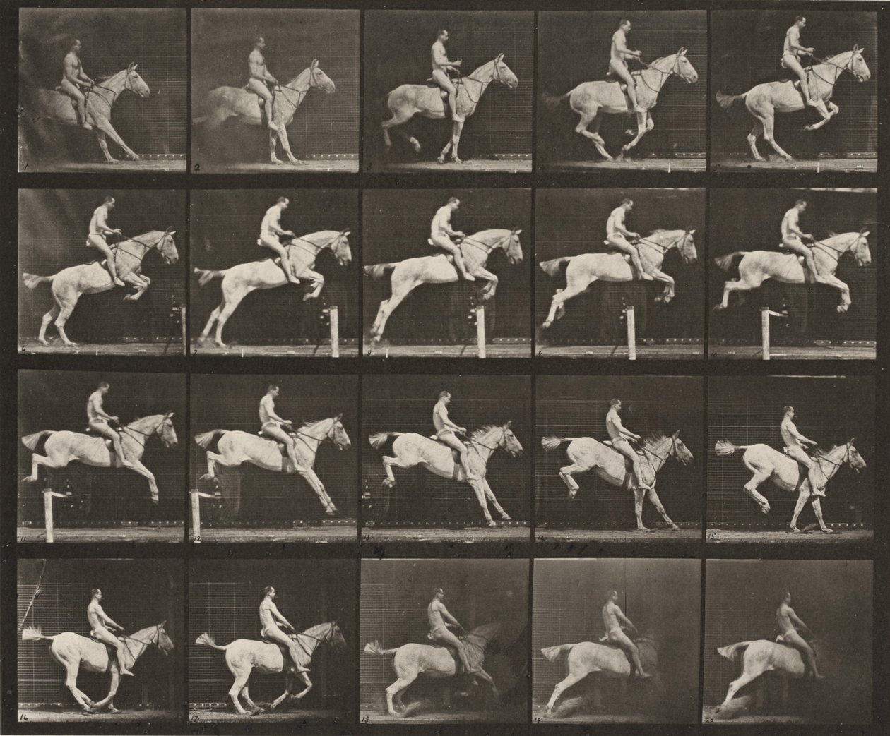 Plate Number 642. "Pandora" Jumping a Hurdle, Saddled; Rider Nude by Eadweard Muybridge